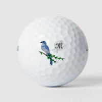 Florida Scrub Jay Monogram Golf Balls