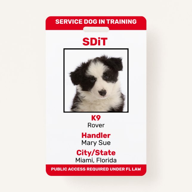 Florida SDiT (Service Dog In Training) info badge (Front)