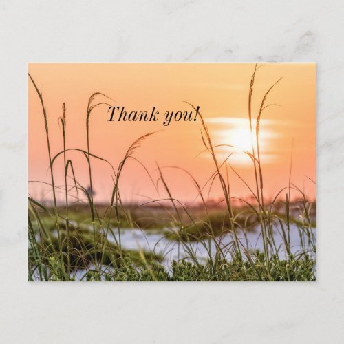 Florida Sea Oats Sunrise Thank you Postcard