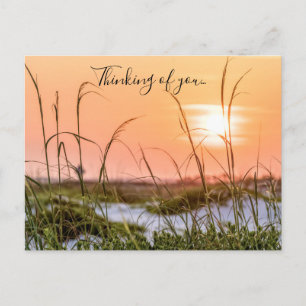 Florida Sea Oats Sunrise Thinking Of You Postcard