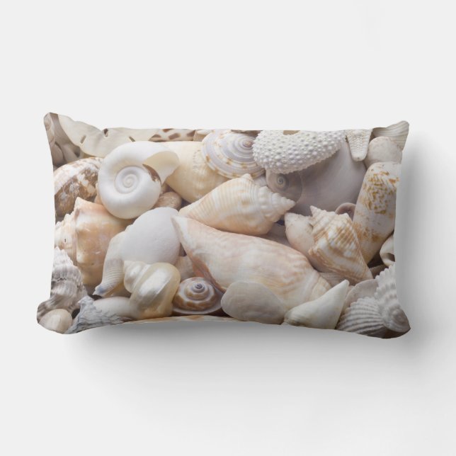 Florida Sea Shell Background - Beach Shells Custom Lumbar Pillow (Front)