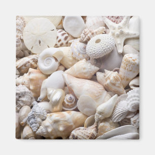 Florida Sea Shell Background - Beach Shells Custom Magnet
