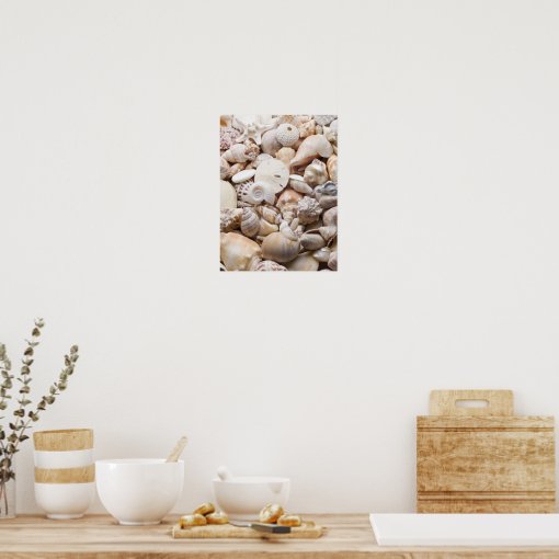 Florida Sea Shell Background - Beach Shells Custom Poster | Zazzle