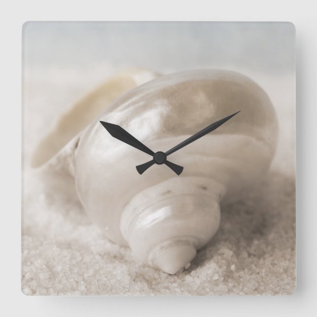 Florida Sea Shell Background - Beach Shells Custom Square Wall Clock (Front)