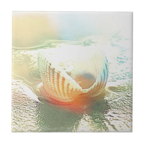 Florida Seashell Ceramic Tile