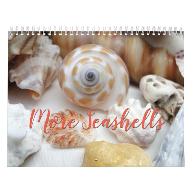 Florida Seashell Photography Calendar Volume 2 (Cover)