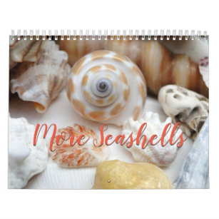Florida Seashell Photography Calendar Volume 2