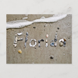 Florida Seashell Postcard