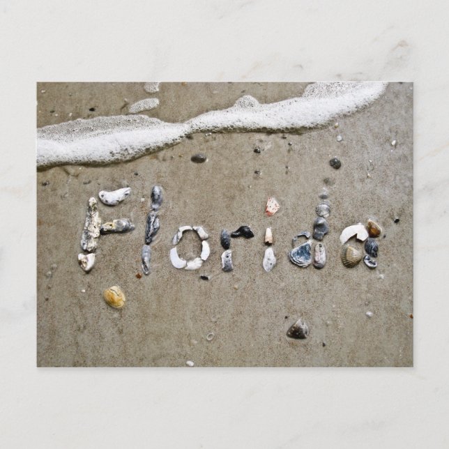 Florida Seashell Postcard (Front)