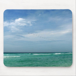 Florida Seashore Mouse Pad