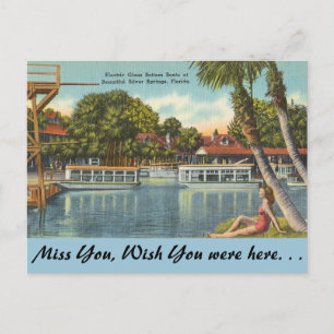 Florida, Silver Springs Postcard
