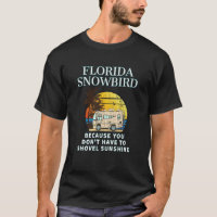Florida Snowbird RV DON'T SHOVEL SNOW