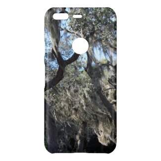 Florida Spanish Moss Google Phone Cases