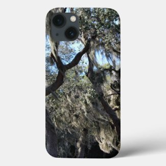 Florida Spanish Moss iPhone Cases