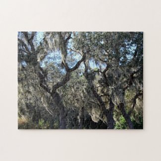 Florida Spanish Moss