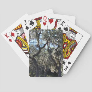 Florida Spanish Moss Poker Cards