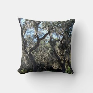 Florida Spanish Moss