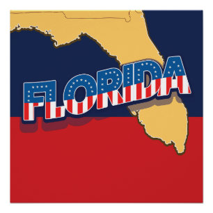 Florida stars and Stripes map Poster