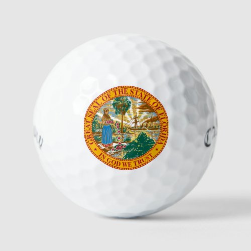 Florida State 12 Callaway Golf Balls