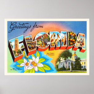 Florida State #1 FL Old Vintage Travel Souvenir Poster