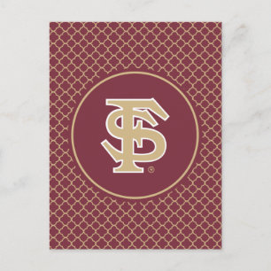 Florida State Baseball Postcard