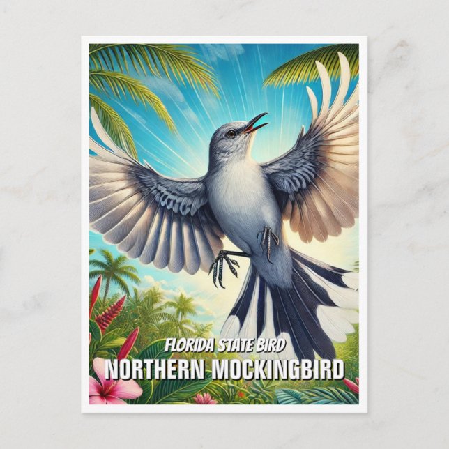 Florida State Bird Northern Mockingbird Postcard (Front)