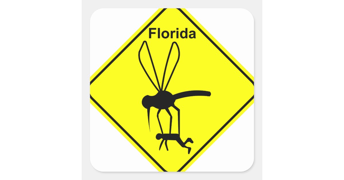 Florida State Bird The Mosquito Square Sticker Zazzle Com