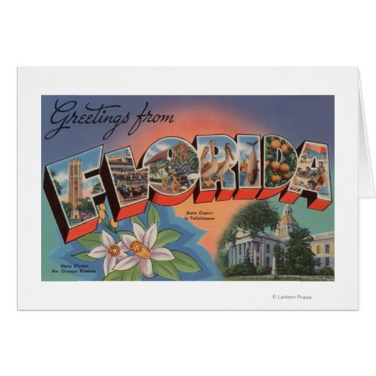 Florida (State Capital Scene) Cards (Front Horizontal)