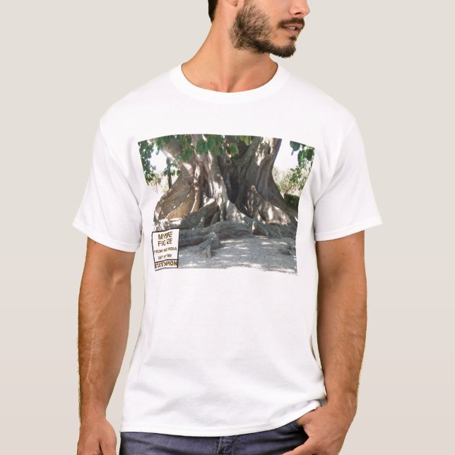 Florida State Champion Mysore Fig Tree With Sign T-Shirt (Front)