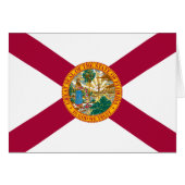 Florida State Flag (Front Horizontal)