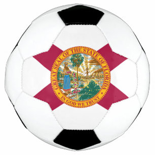 Florida State Flag Soccer Ball