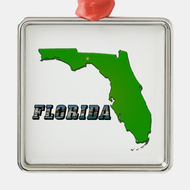 Florida State Map and Text Metal Ornament (Front)