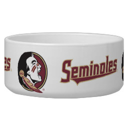 Florida State Seminole Bowl