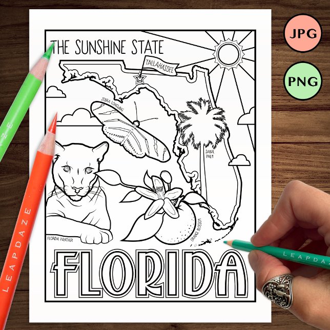 florida state shape and facts coloring page (Creator Uploaded)