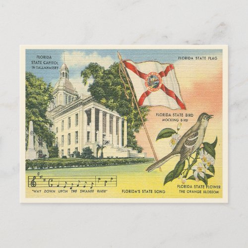 Florida state symbols vintage Tallahassee Postcard