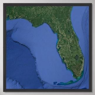 Florida State Terrain Satellite Map Framed Art