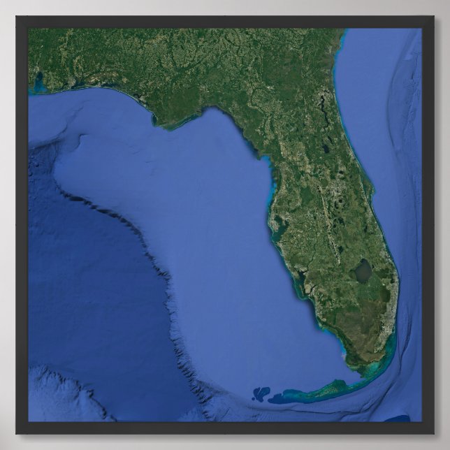 Florida State Terrain Satellite Map Framed Art (Framed Front)