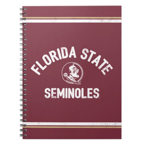 Florida State University  Seminoles _ Vintage Notebook