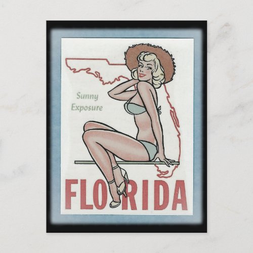 Florida State vintage travel postcard