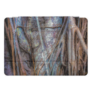 Florida Strangler Fig iPad Pro Cover