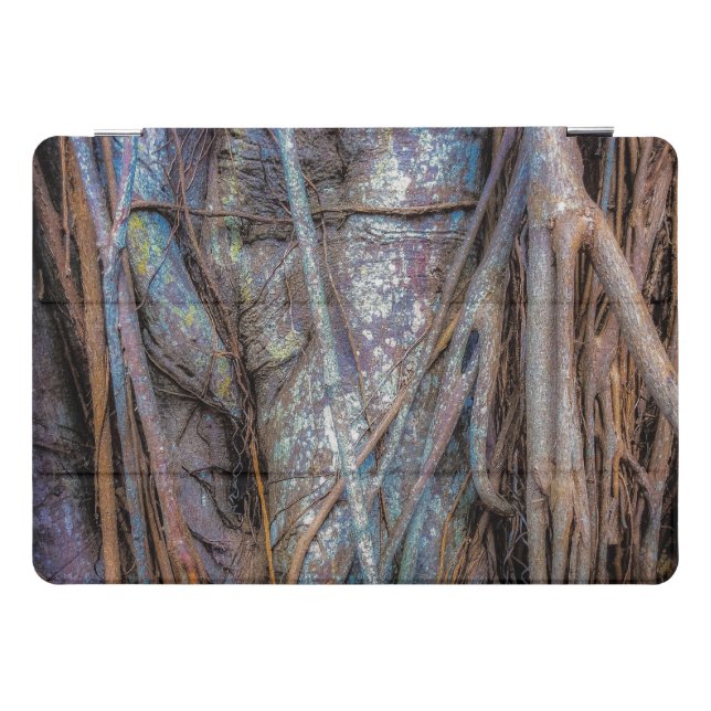 Florida Strangler Fig iPad Pro Cover (Horizontal)