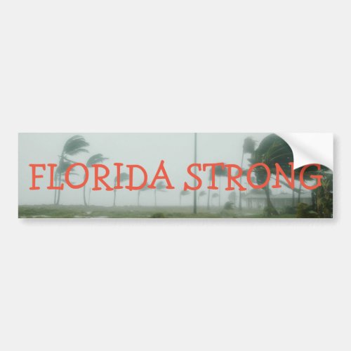 Florida Strong Bumper Sticker