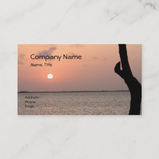 Customizable Florida Sunrise Business Card