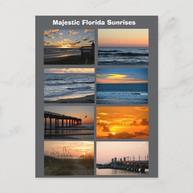 Florida Sunrises  Postcard (Front)