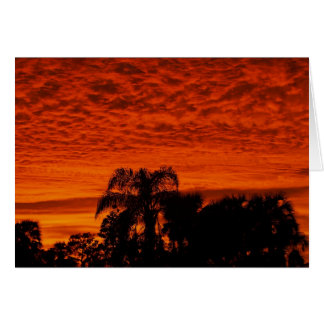 Florida Sunset Cards