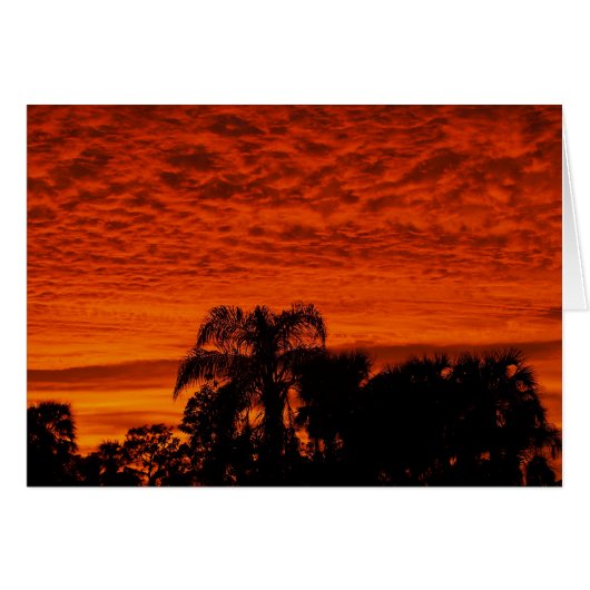 Florida Sunset Cards (Front Horizontal)