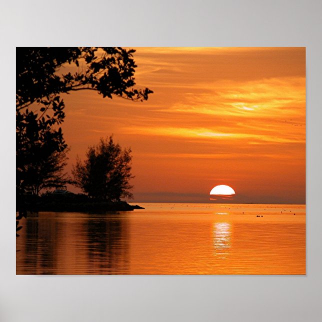 Florida sunset lake trees Poster (Front)