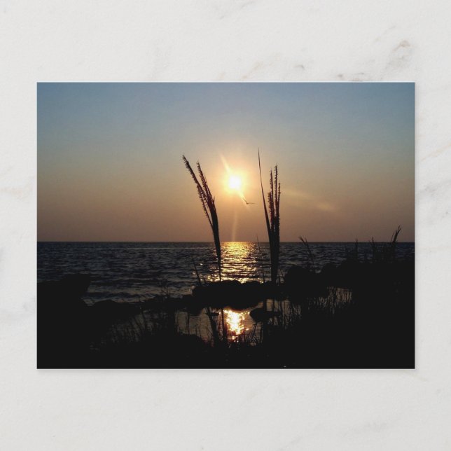 Florida Sunset Postcard (Front)