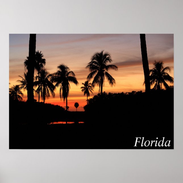 Florida sunset poster (Front)