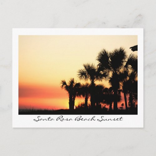 Florida Sunset Santa Rosa Beach Palm Trees Postcard